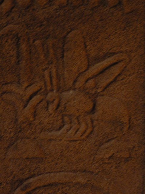 stecher m�cke �gypten 