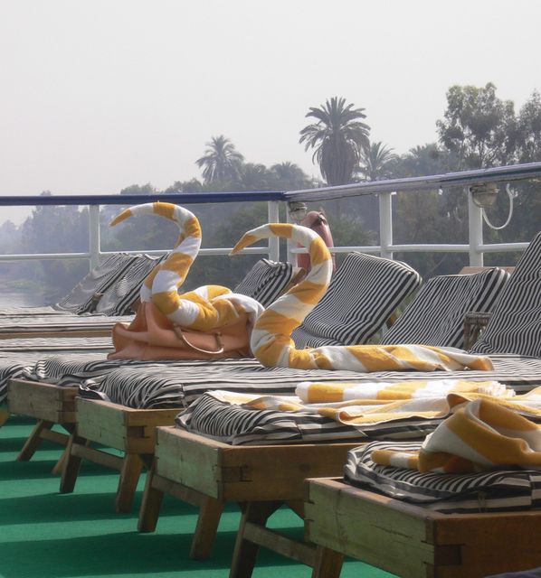 frottier-tiere liegen sonnendeck handtuch schwan �gypten 