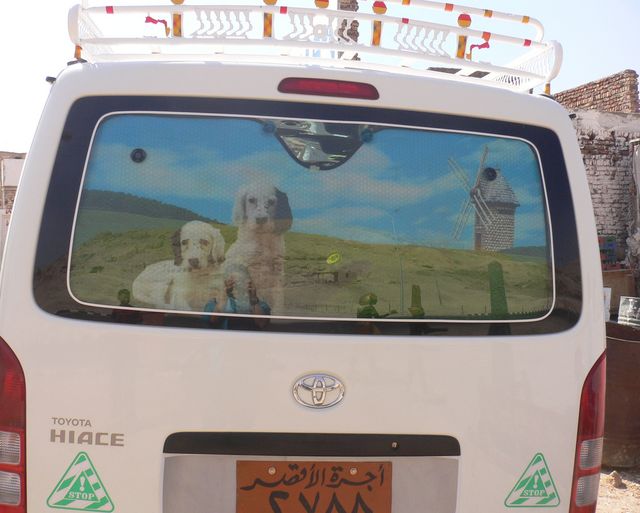 hundeelend sonnenschutz auto �gypten 