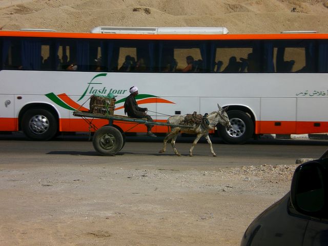 transportwesen straenverkehr bus esel gypten 