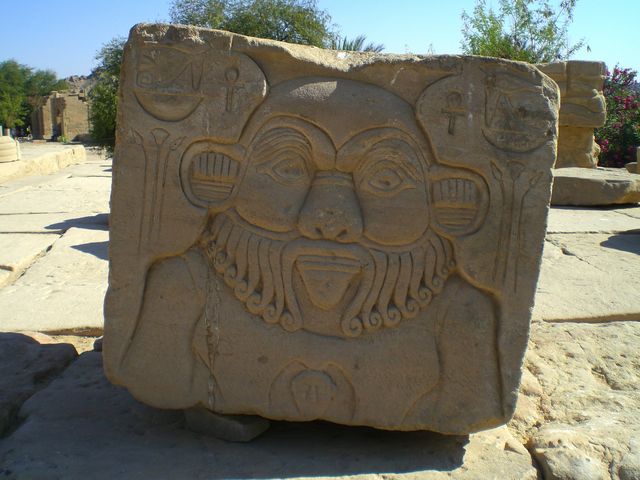 segelohren mit bart stein bart �gypten 