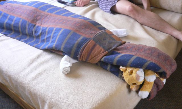 tier im bett krokodil bett tier l�we �gypten 