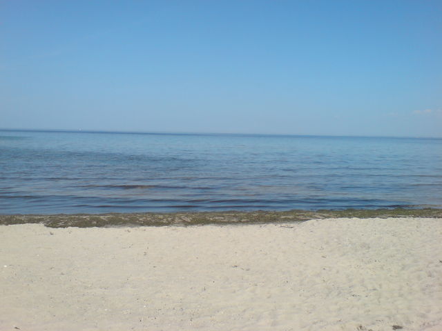 Urlaubsgre von der Ostsee postkarte zufriedenheit sonne urlaub sand ostsee 