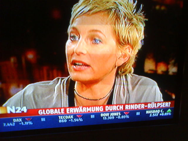 rinder r�lpsen? b�rbel erw�rmung globale n24 r�lpsen sch�fer rinder 