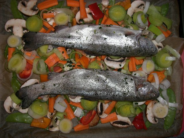 forelle auf gemüsebett karotten lauch zuckerschoten gemüse forelle paprika champignons 