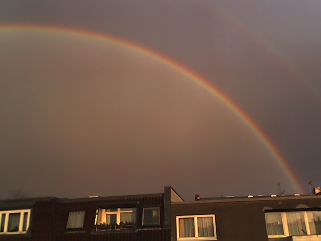 Bogen berlin regenbogen neuk�lln mai 