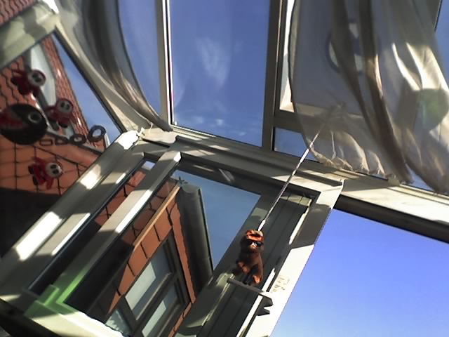 Garfield h�ngt rum dellbr�ck garfield rumh�ngen k�ln 