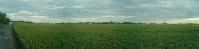 weizen landschaft rondorf weizen grn panorama feld 