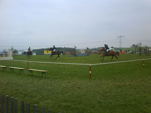 Das R�cken dem Erde... spiessig springreiten tierqu�lerei turnier reiten 