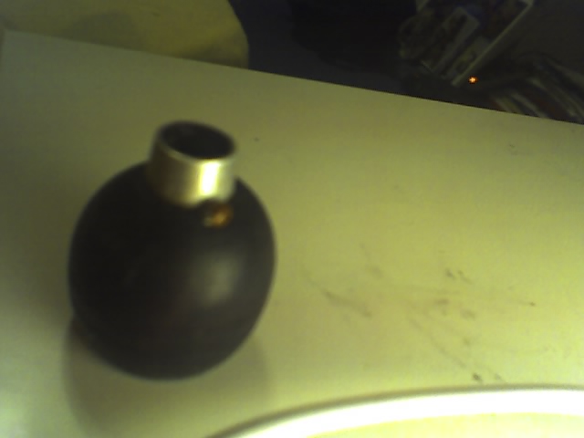 Kifferk�fer k�pfchen gl�ck insekt insekten kiffen k�fer 