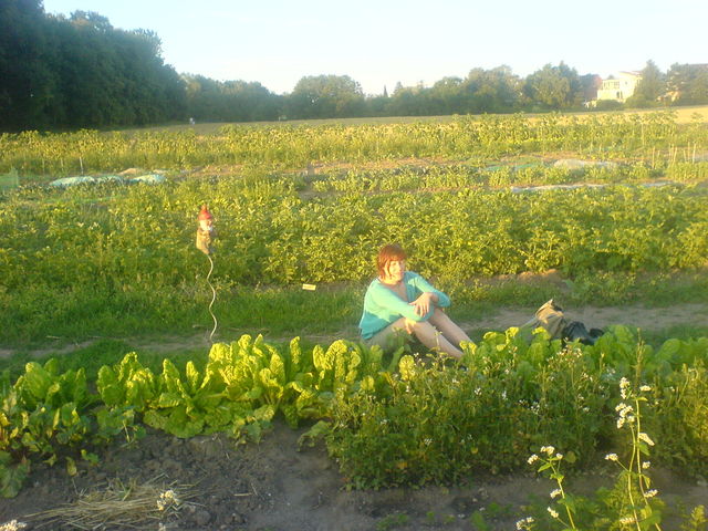 kerstin bewacht ihr gem�se :)  biolandwirtschaft gem�se garten 
