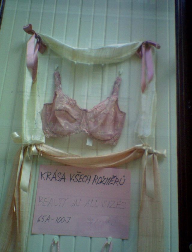beauty in all sizes dessous �bergr��e schaufenster bh unterw�sche prag 