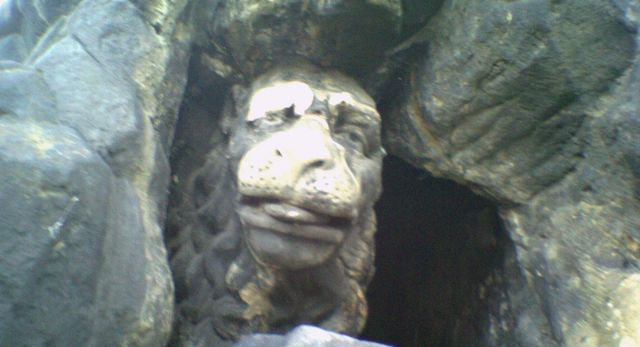 drupp l�we prag karlsbr�cke 