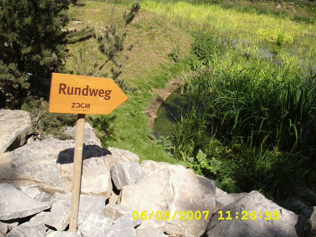 Rundweg irref�hrung rundweg see sumpf zoo wegstrecke 