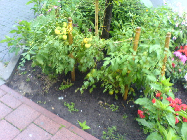 Strassengr�n in Dietzenbach einkaserniert leer 3000 ein�de dietzenbach 