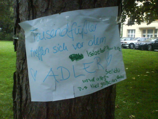 der adler ist gelandet gehime_botschaft baum tausendf�ssler adler zettel 