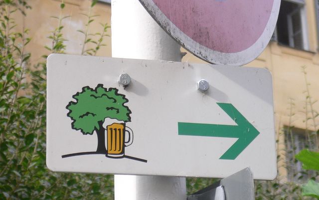 marathonstrecke bamberg biergarten biergrten baum bier schild radtour 