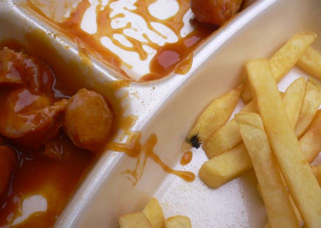 in der not... dinkelsb�hl currywurst essen fastfood pommes fliege 