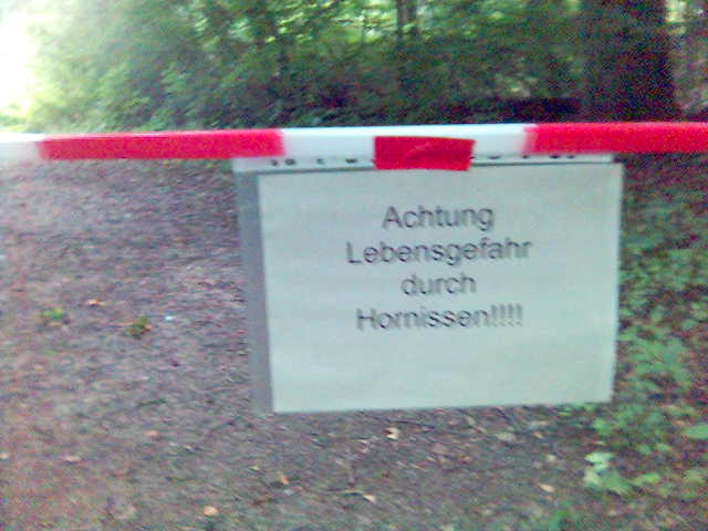 Hornizzle hornissen gefahr insekten schild tiere wald lebensgefahr absperrung achtung 