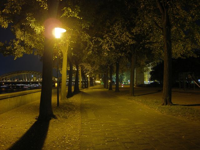 Rheinpromenadenallee baum deutz kln nacht laterne hdr 