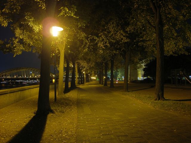 Rheinpromenadenallee baum deutz k�ln nacht laterne hdr 