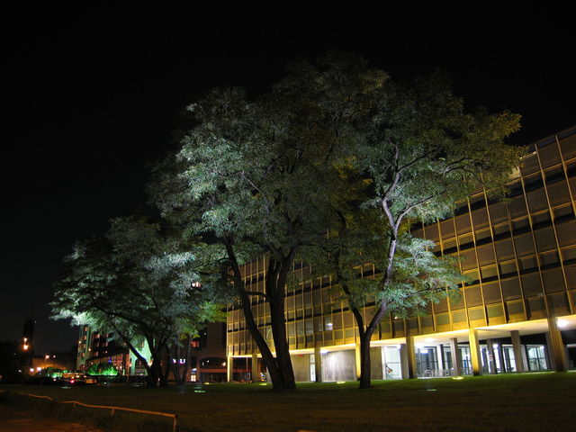 Baummonster landeshaus baum deutz k�ln lvr nacht 