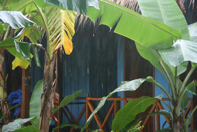 strandurlaub guesthouse palmen sihanoukville regen balkon kambodscha regenzeit 
