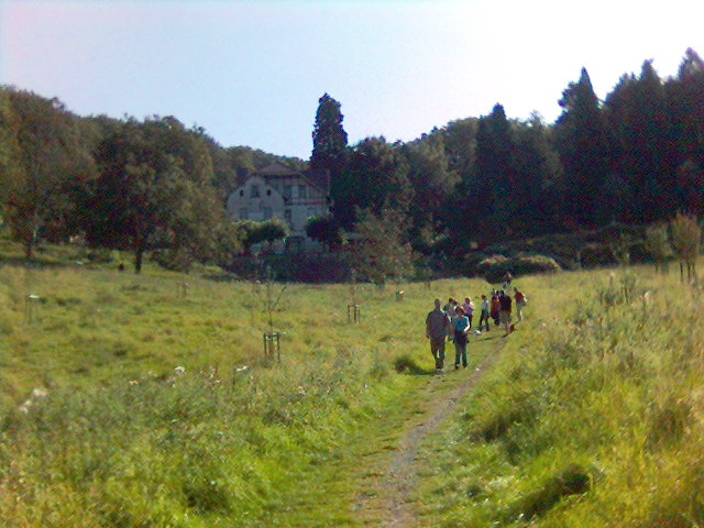 Berg- Idyll am Drachenfels drachenfels spazieren herbst sonne wandern 