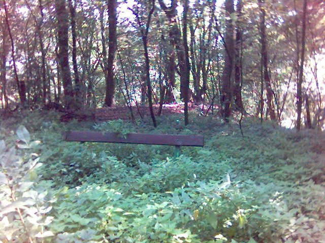 Wucherung gr�n herbst sonne bank wandern wuchern drachenfels 