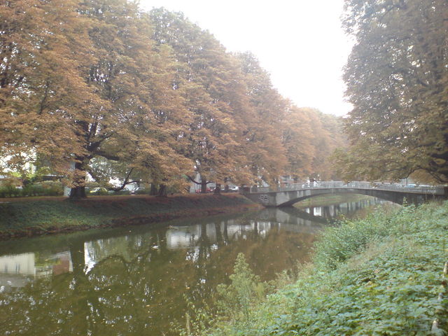 herbst braun kanal brcke herbst wasser bume bltter 