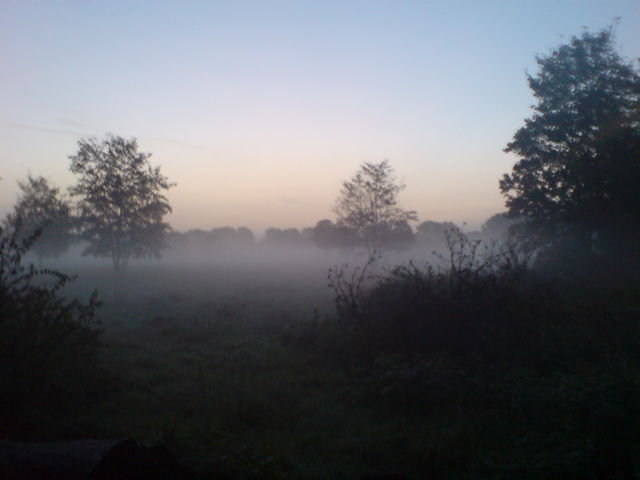 Morgengrauen morgengrauen morgen nebel poll frh 