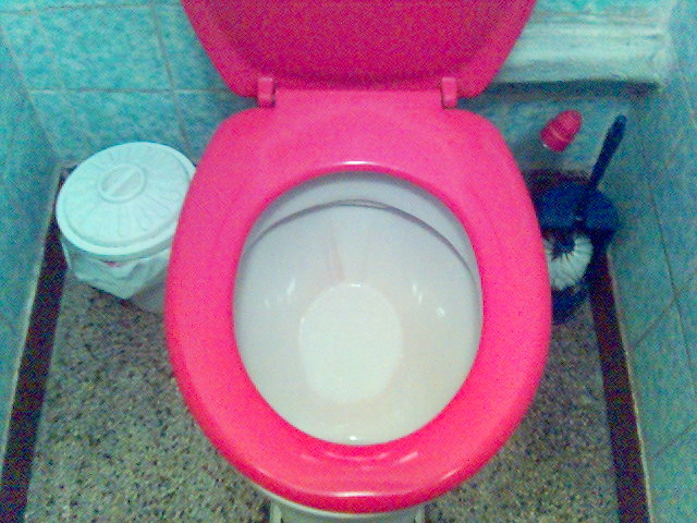 pretty in pink klo rot toilette klobürste kacheln klobrille 