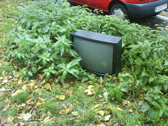 draussen zuhause draussen 5711 gr�n m�ll sperrm�ll fernseher schrott 