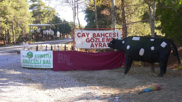 werbestrategie stra�enrand kuh werbung t�rkei schafe 