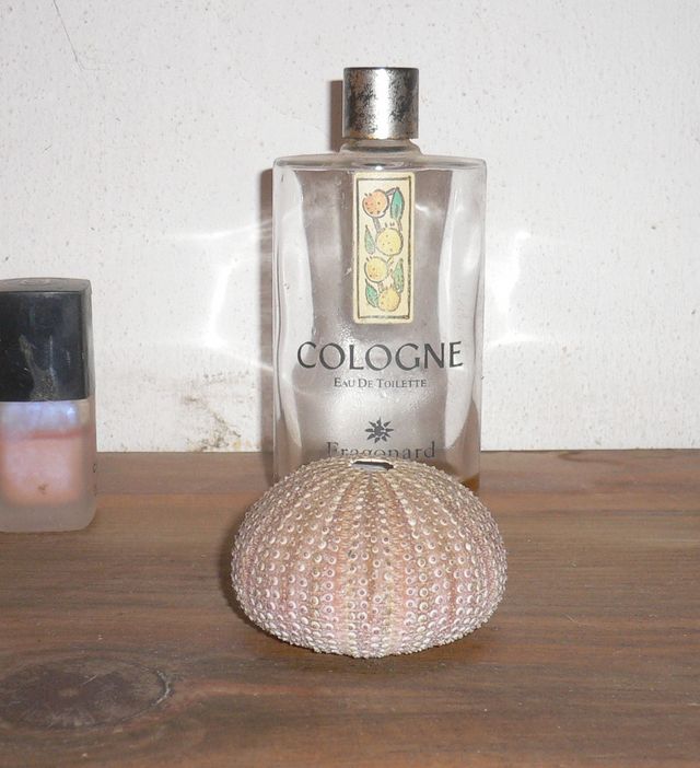 k�ln ist �berall cologne k�ln parfum t�rkei bodrum 