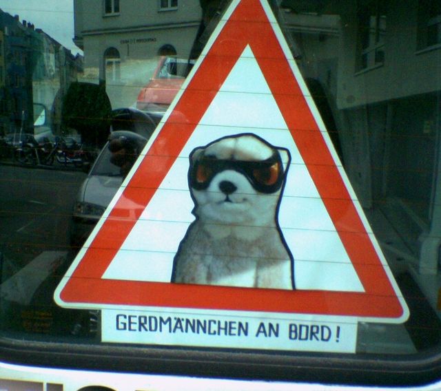 m�nnchen bord schild erdm�nnchen autofenster 