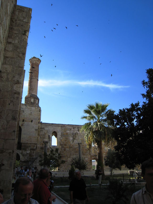 Vgel moschee trkei kusadasi 