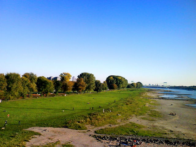 Rheinwiesen sonnenschein herbst rhein wiesen 