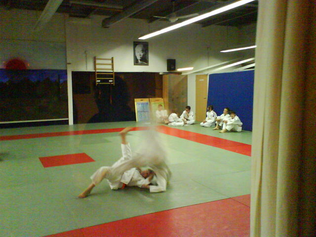 HO-DO-KIN! werfen sara action schwester judo prüfung 