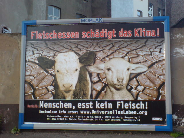 Irgendwer muss ja schuld sein... fleischessen kalb fleisch kuh lamm schaf klima 