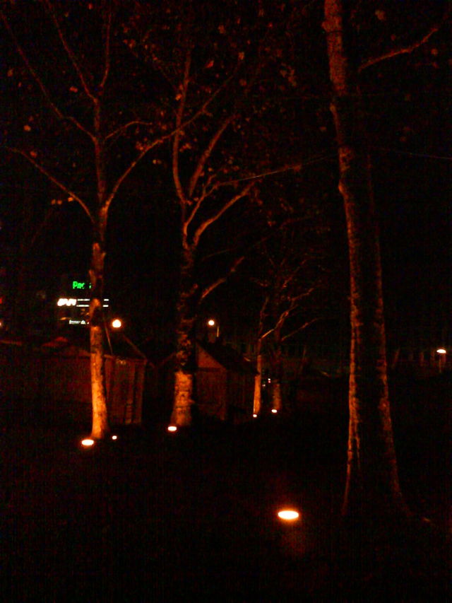 Blutbume baum dunkel neumarkt 