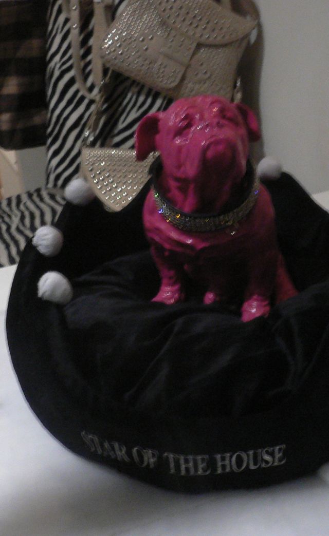 top dog hund pink star glamour 
