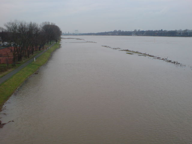 wo letztens noch die Schfchen weideten... rhein hochwasser wiesen poller sdbrcke 