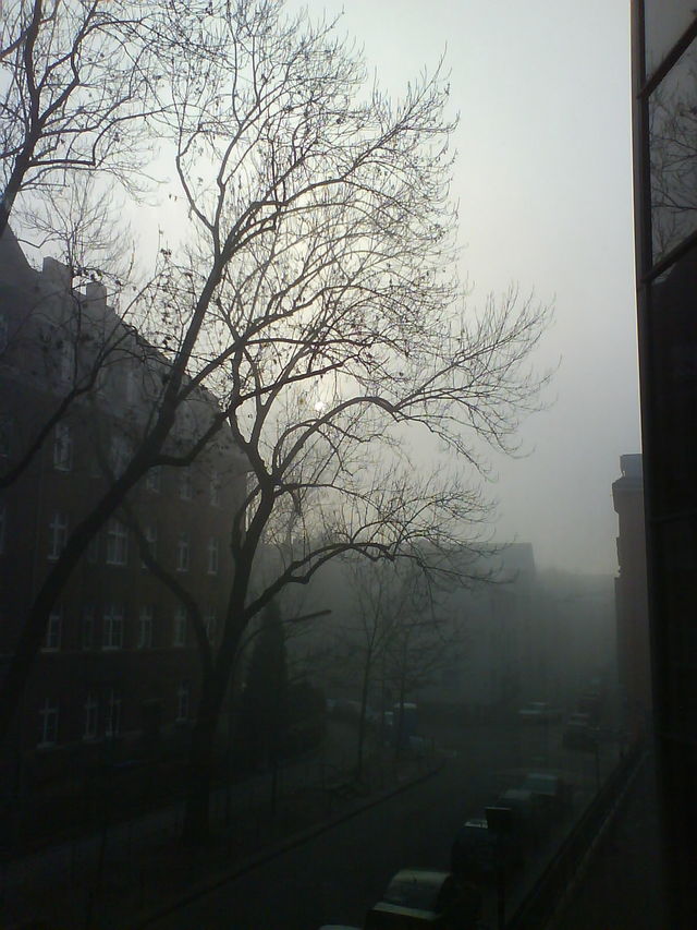 Nebel bro lvr nebel 