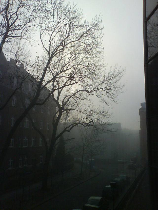 Nebel b�ro lvr nebel 