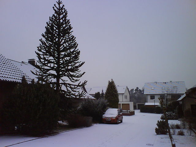 Schnee schnee weihnachten homburg saarland 