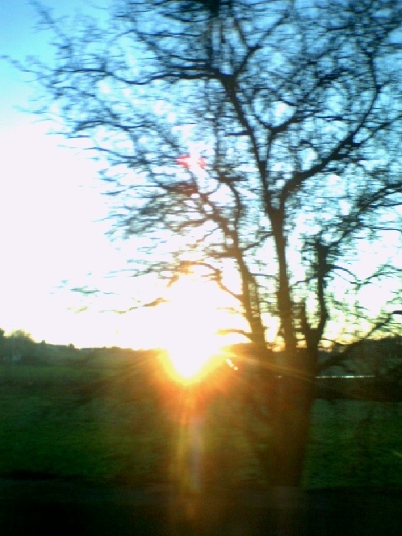 ruhrgebiet 2 baum essen sonne sonnenuntergang ruhrgebiet 