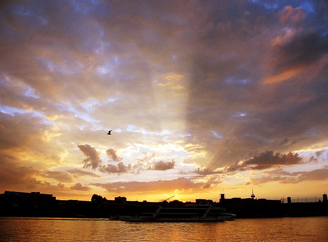 ICH WILL JETZT SOMMER! SOFORT!!! himmel rhein sonnenuntergang vogel wolken schiff 