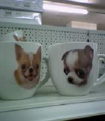 guten morgen! wesen hund hunde tasse tier 