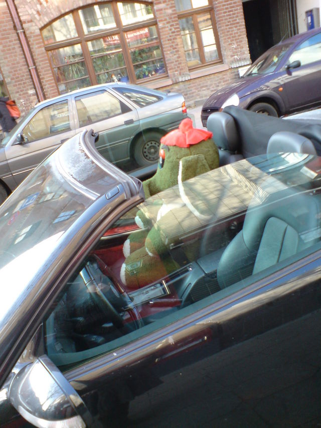 Elefanten wird vom Cabriofahren schlecht auto elefant gr�n schlecht cabrio 